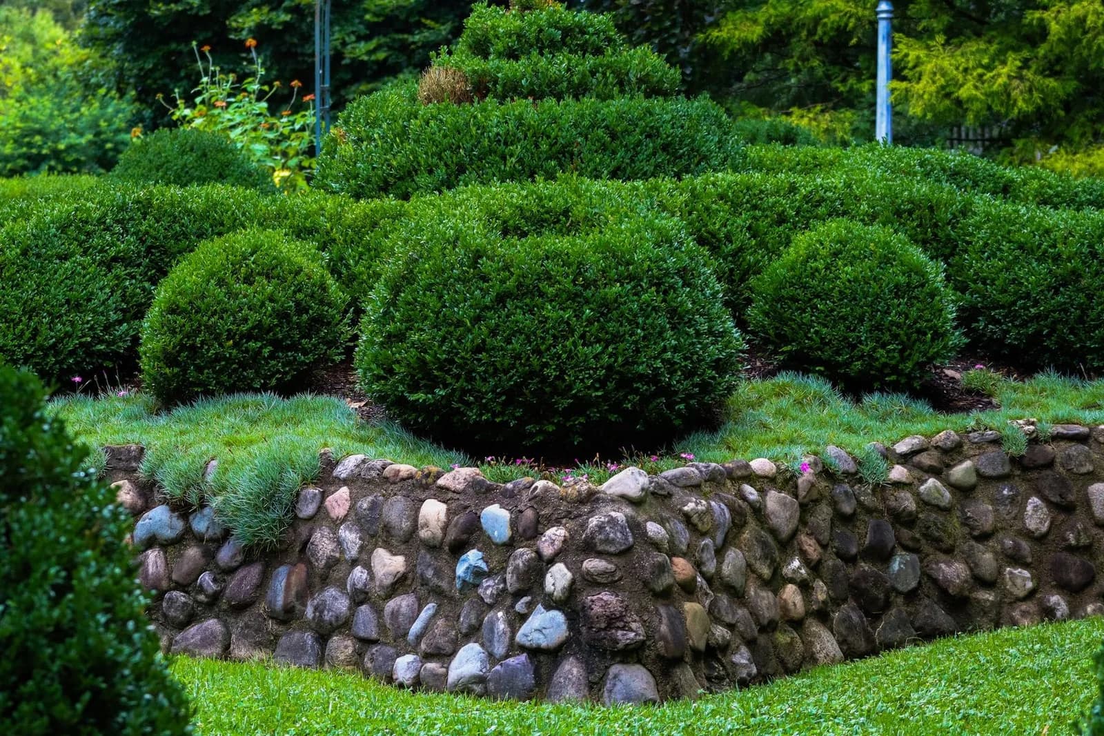 Bare Slope to Terraced Garden — after the work, backyard transformations