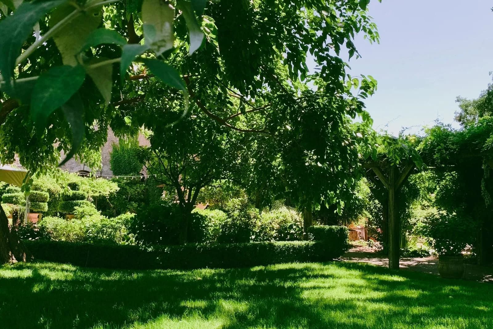 Shade-Tolerant Reseeding — completed lawn restorations project by VP Landscaping
