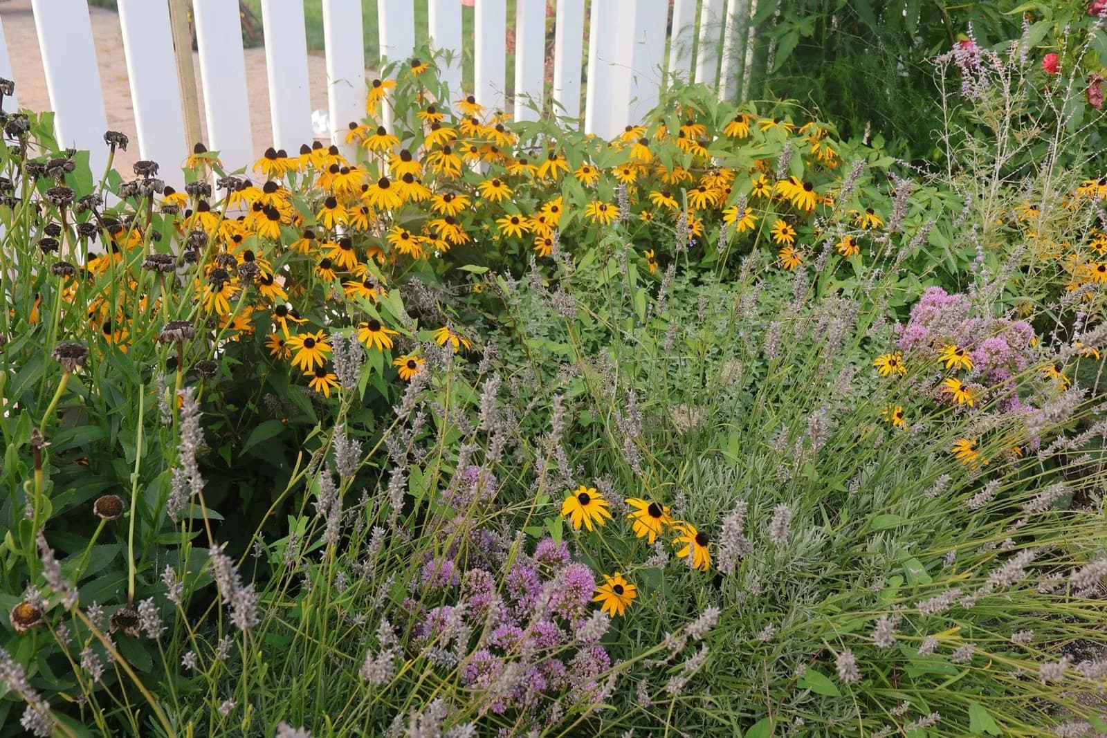 Native Pollinator Border — completed gardens & plantings project by VP Landscaping