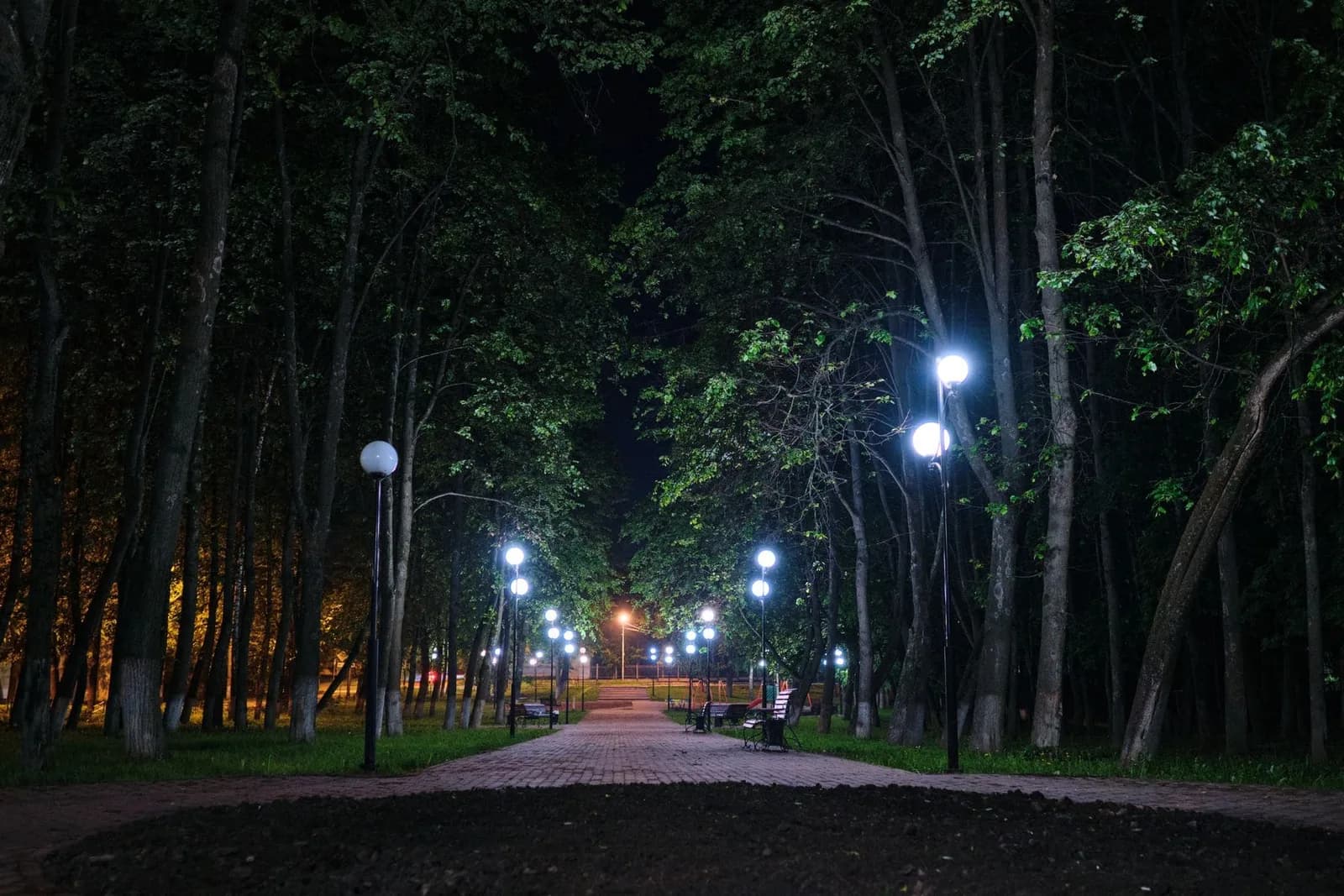 Moonlight Through Oaks — completed lighting after dark project by VP Landscaping